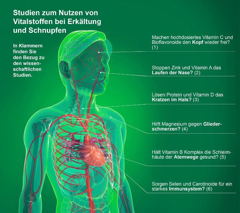 Studien zum Nutzen von Vitalstoffen bei Erkältung und Schnupfen