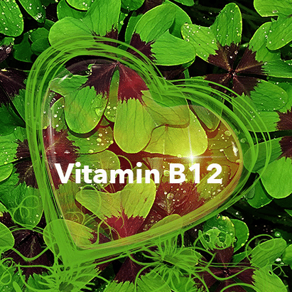 vitamin b12 heart