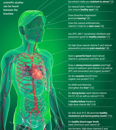 anatomie-complete-forte