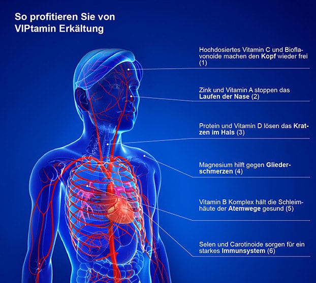 Erklärung Organe
