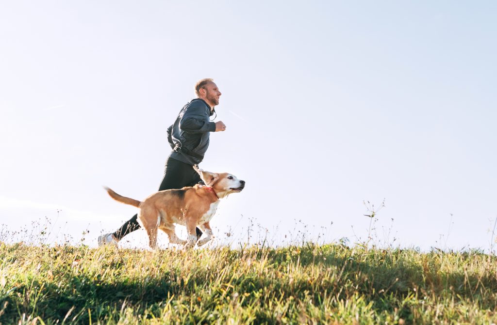 Jogging mit Hund